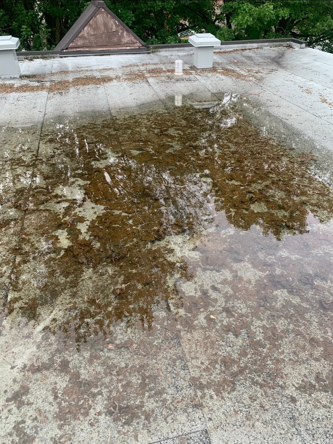 Solutions d'entretien de toiture